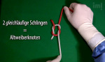 Vi Altweiberknoten